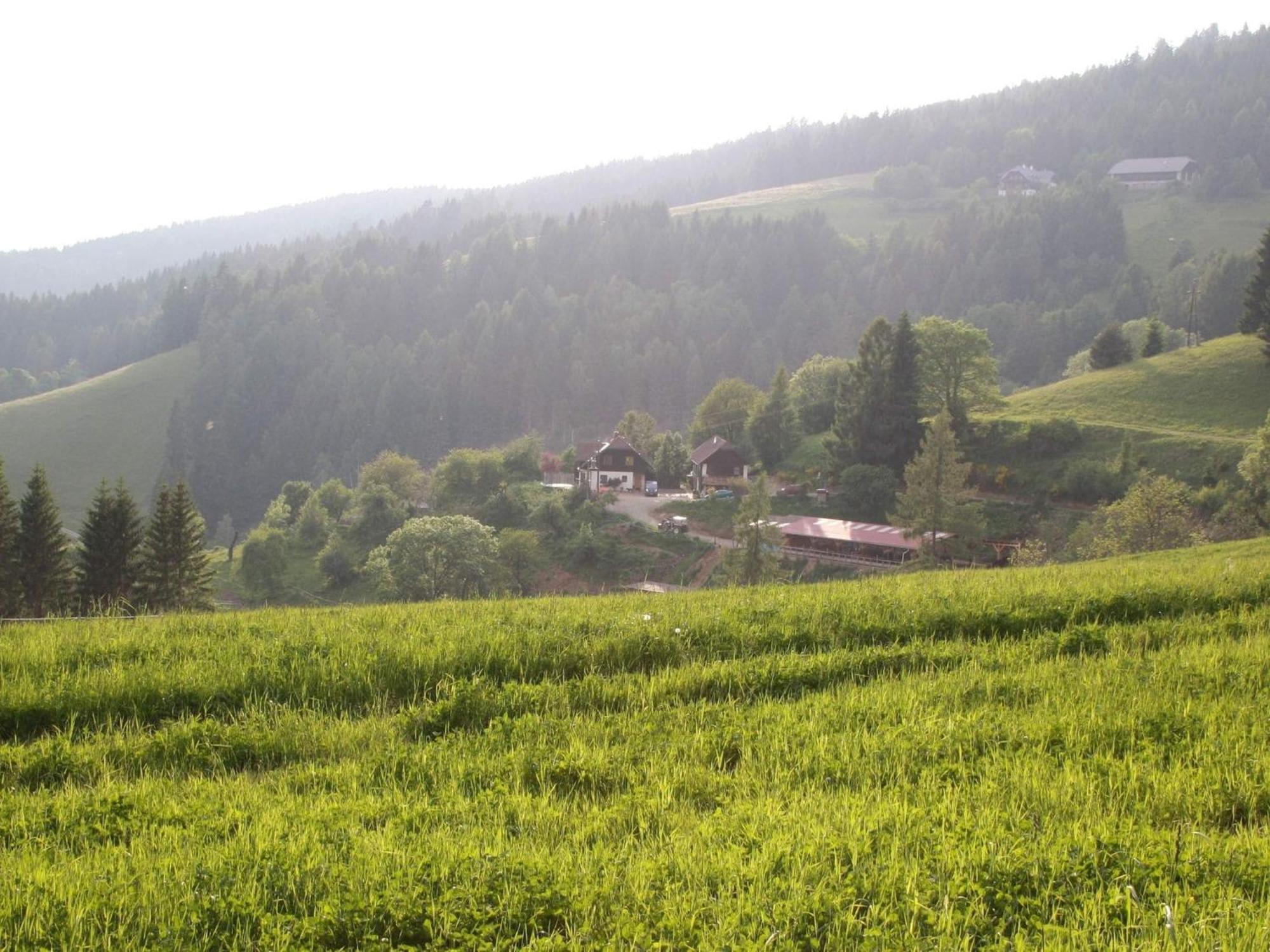 Detached Wooden Chalet In Liebenfels Carinthia Near The Simonh He Ski Area Eksteriør billede