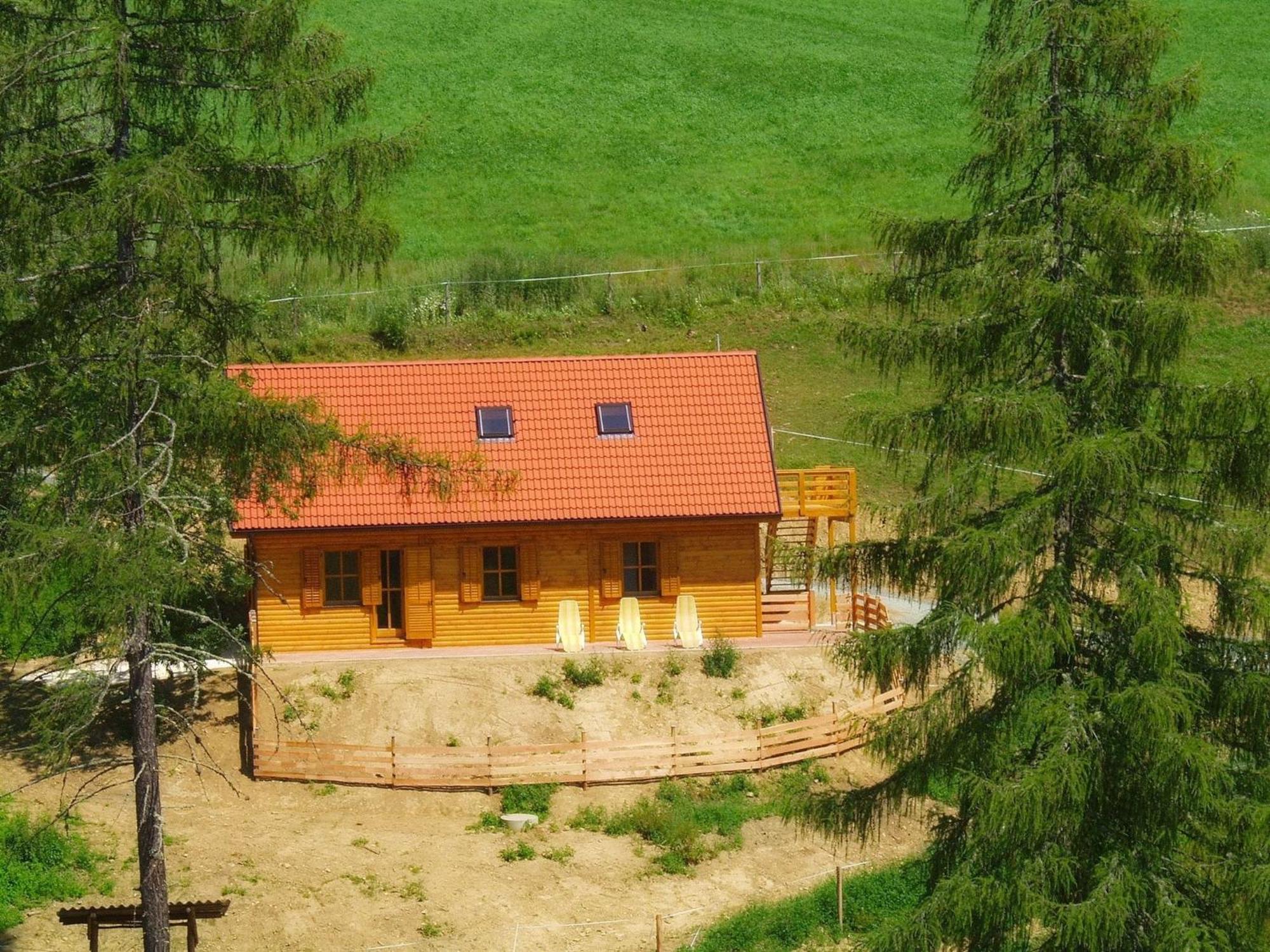 Detached Wooden Chalet In Liebenfels Carinthia Near The Simonh He Ski Area Eksteriør billede