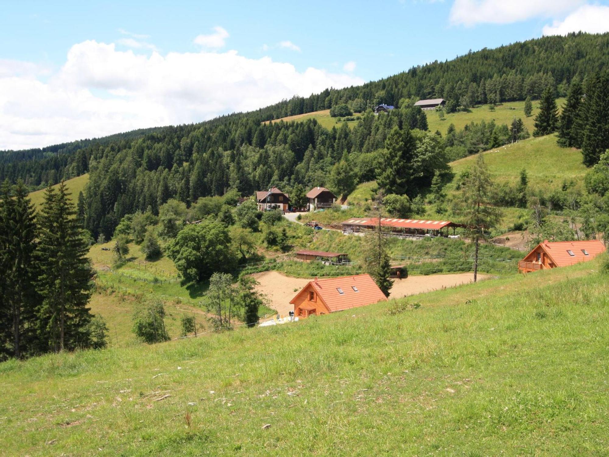 Detached Wooden Chalet In Liebenfels Carinthia Near The Simonh He Ski Area Eksteriør billede