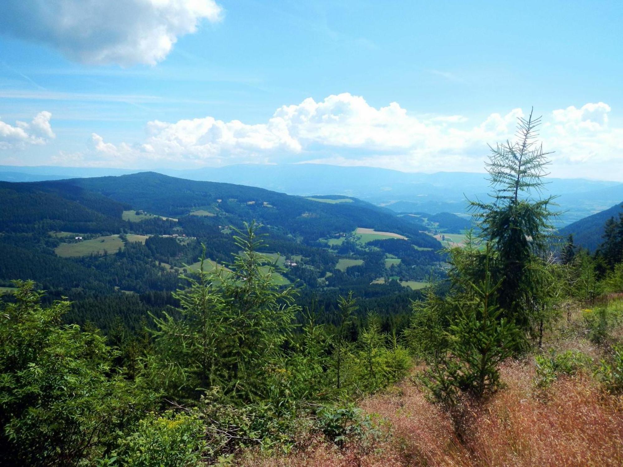 Detached Wooden Chalet In Liebenfels Carinthia Near The Simonh He Ski Area Eksteriør billede